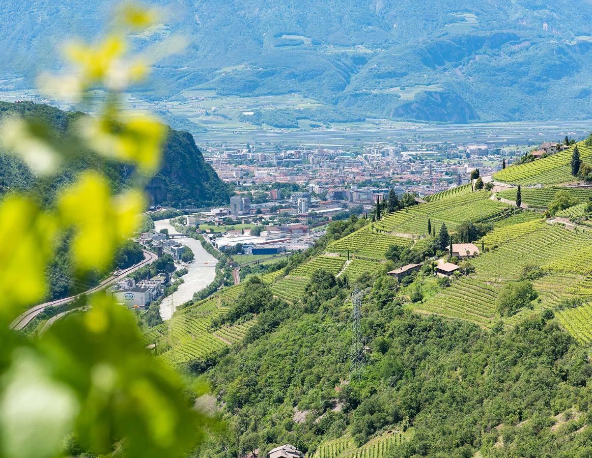 Weingut Schmid Oberrautner Apartment Suites Bolzano Eksteriør bilde